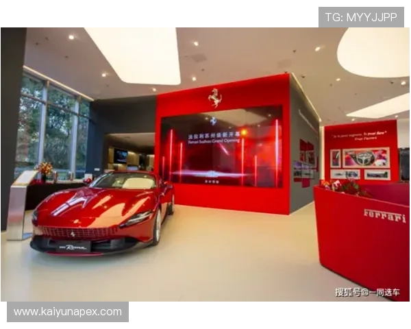 Kaiyun开云坚持以用户为中心，优化体育服务体验实现品牌价值的持续增长