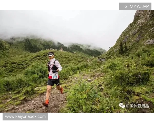 开云集团与MK体育携手打造高品质体育赛事，助力体育产业持续健康发展