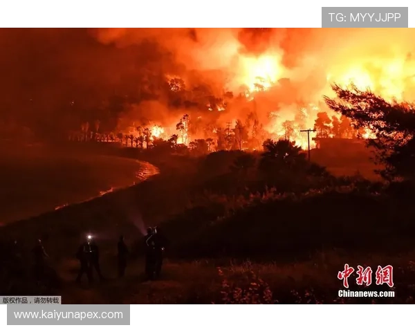 开云官网官方下载地址，官方正版游戏安全下载与更新方法介绍